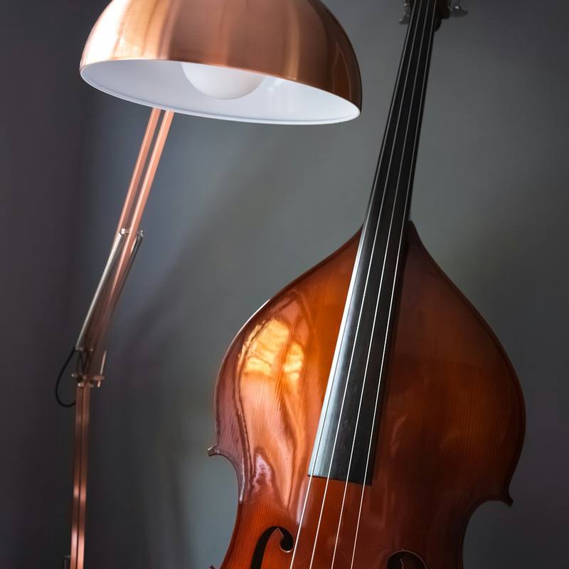 Harbor Folk Prairie Folk Acoustic - Tobacco Burst