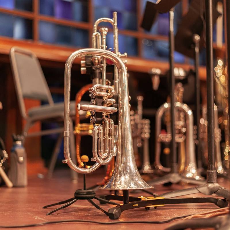 Horizon Brass Student Trumpet Bb - Rose Brass