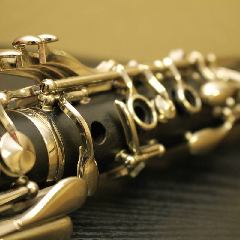 Sonic Vault Bassoon Student - Grenadilla Style