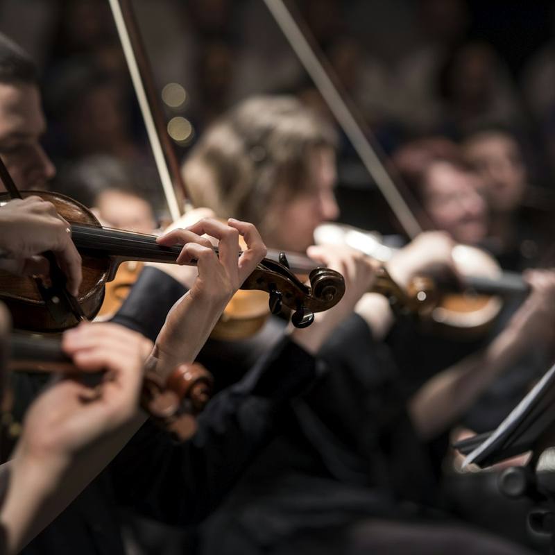 Symphony Craft Pro Violin Master - Ebony Fittings