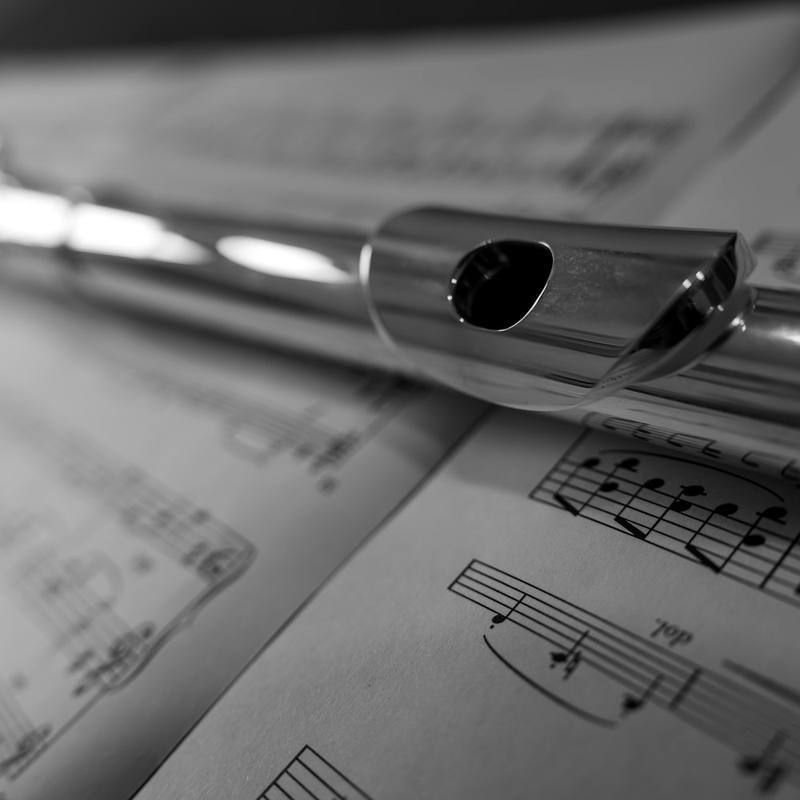 WindVault Flute Sterling - Silver Plate Keys